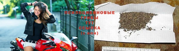 стафф Мегион