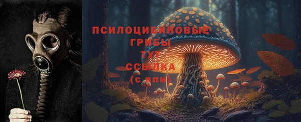 стафф Мегион