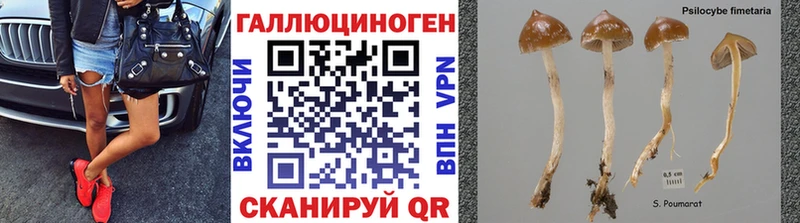 площадка клад  ОМГ ОМГ вход  Челябинск  Псилоцибиновые грибы мухоморы 